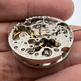 7120 Silver Hollow Extra Large Automatic Mechanical Movement