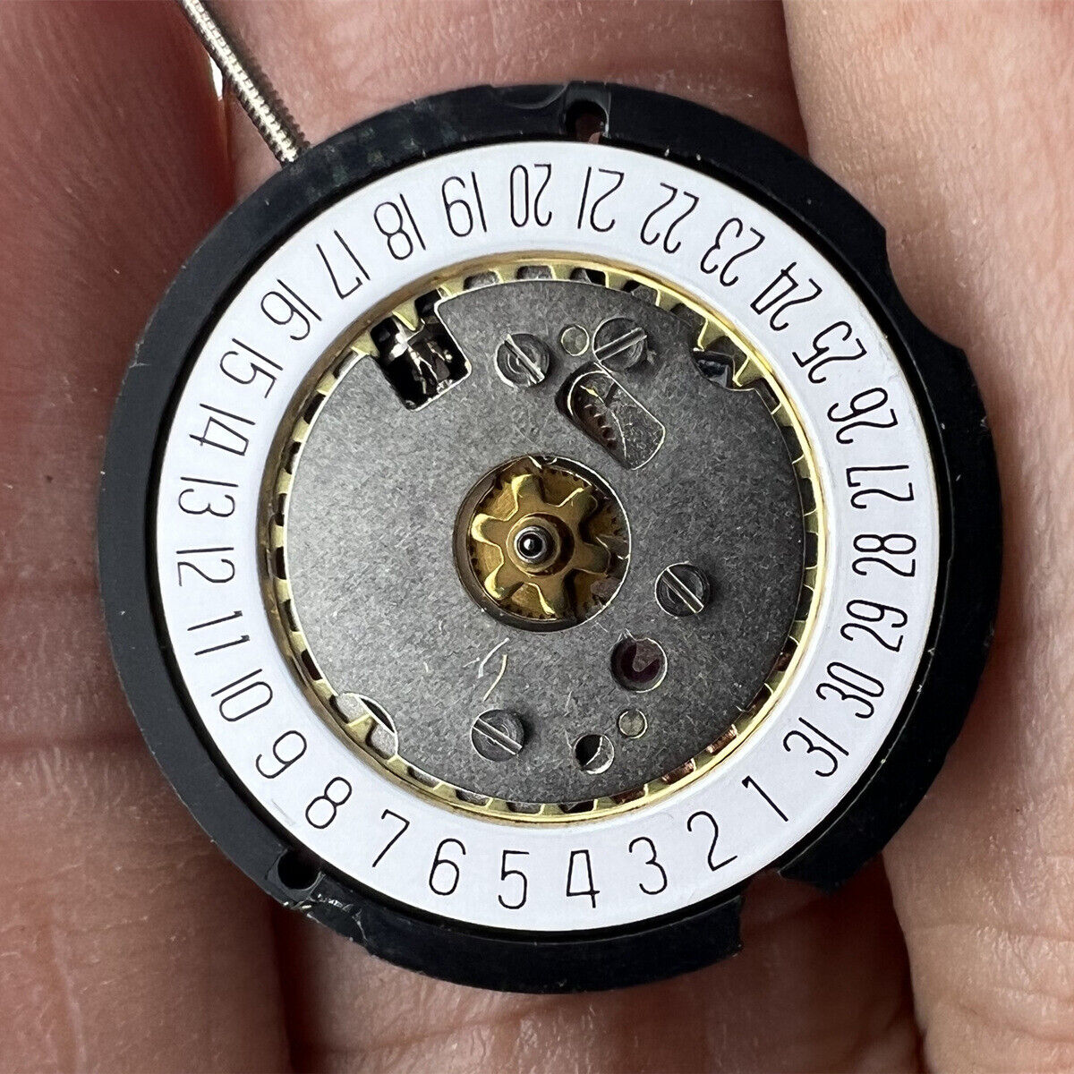 Ronda 585 Swiss quartz watch movement with date display at 6 o'clock, standard height design.