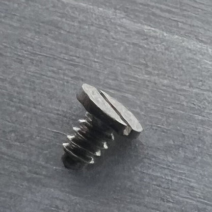 Ratchet wheel screws for ETA 2836-2, 2824-2, 2834-2 #000SS watch movements, generic fit.
