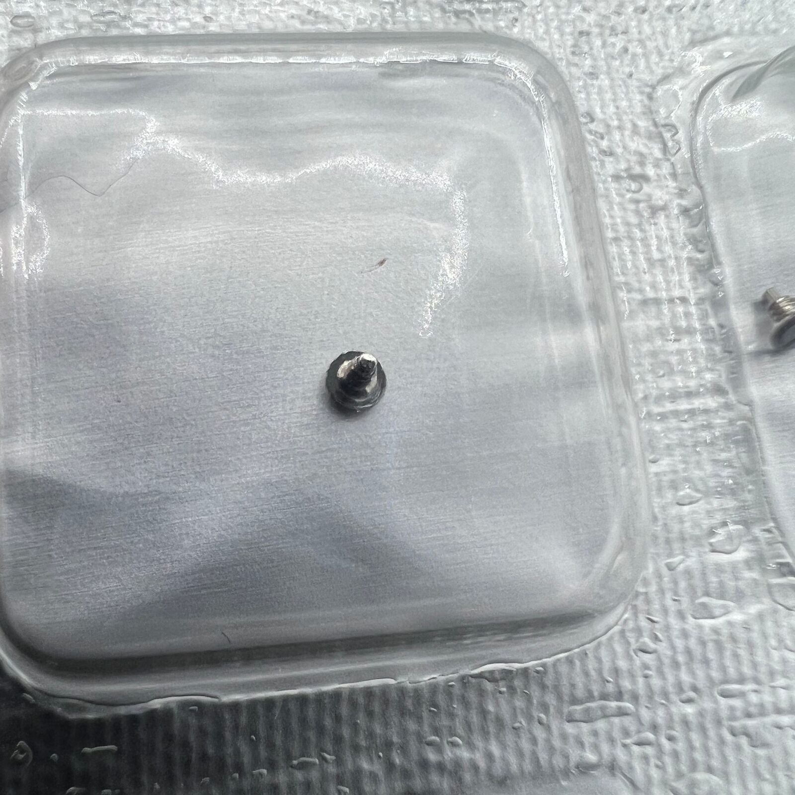 Week Corrector Screws for ETA 2836-2, 2824-2, 2834-2 movements, generic fit precision parts.