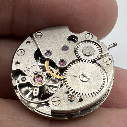 Close-up of China Made 7121 3121 automatic mechanical watch movement for repair training.