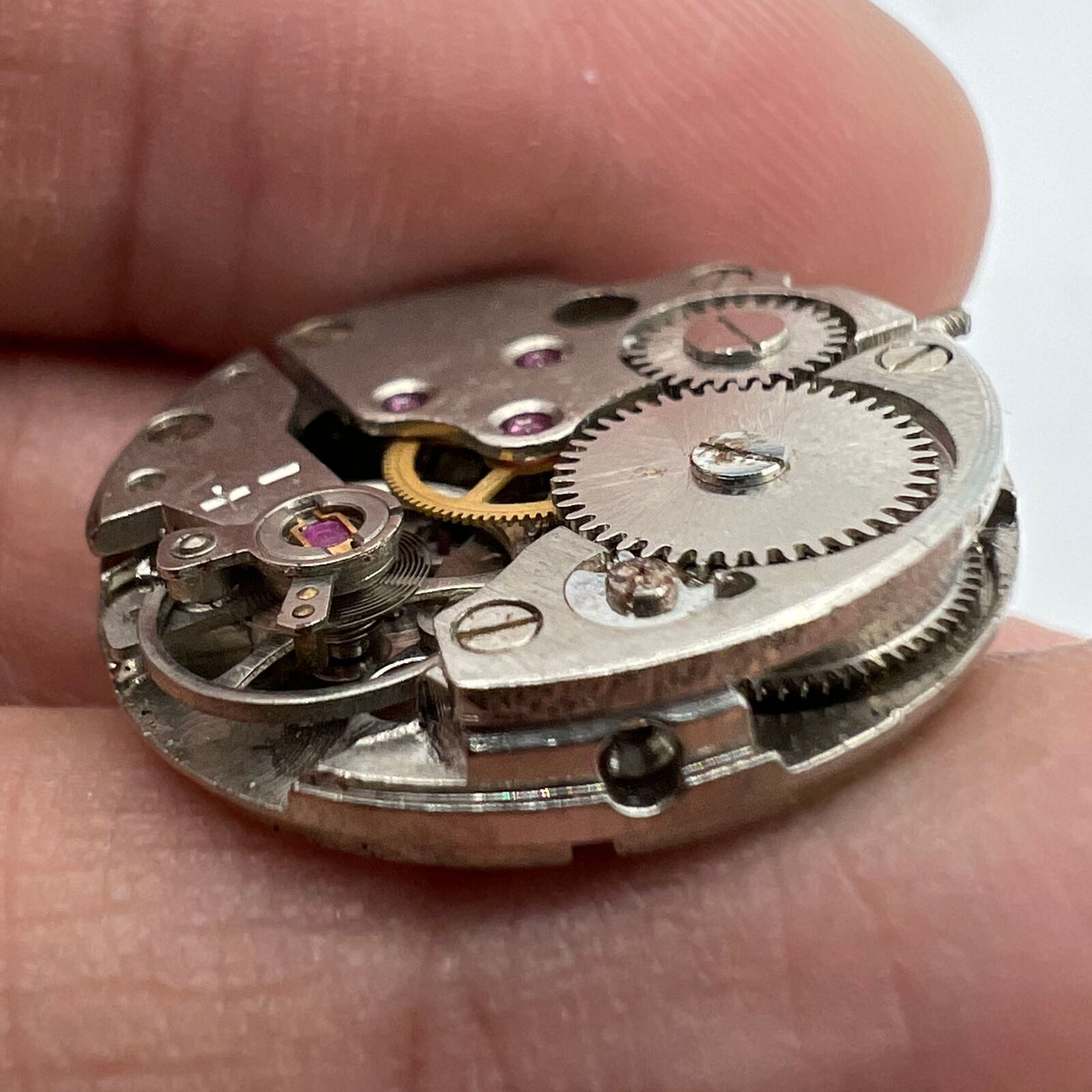 Close-up of 5x 7121 3121 automatic mechanical watch movements, China-made, for repair practice and training.