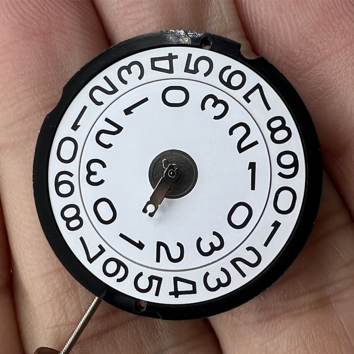 Ronda 519 Swiss quartz watch movement with precision timing for quality watch repairs.