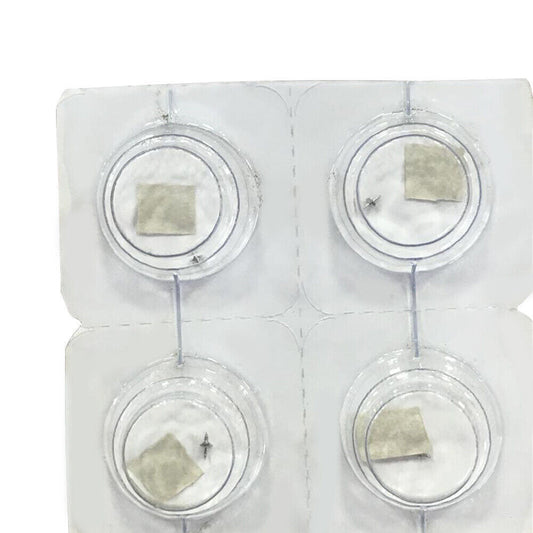 Generic Watch Parts 2135-429 Unruhwelle Ersatz für 2135