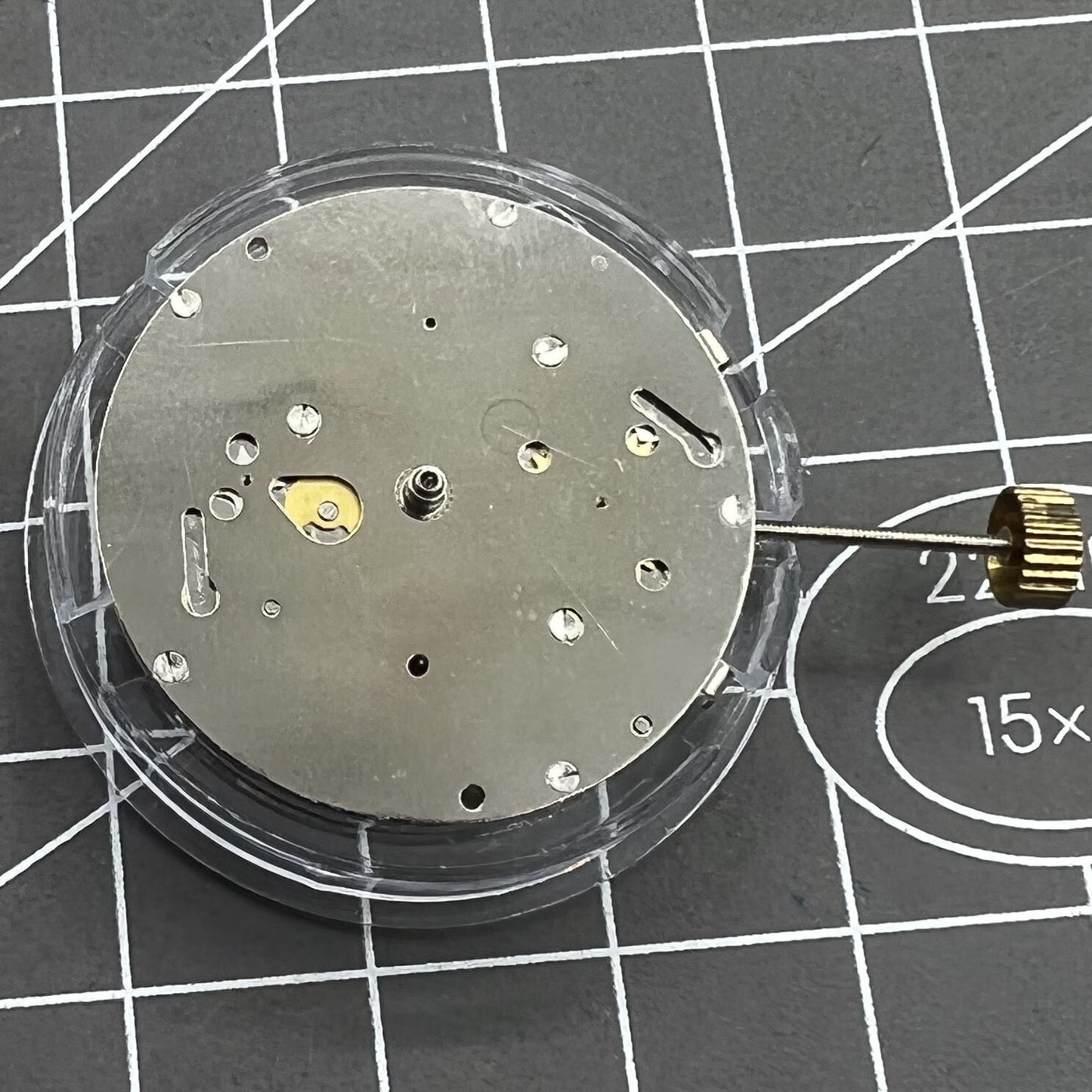 Dandong 8217 Automatisches Multifunktionales Uhrwerk Mechanisch