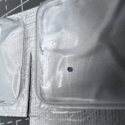 2 Stück Radbrückenplattenkappe Jewel Passend für Movement 8200 Modell 1023-3027