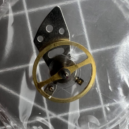 Original komplettes Unruhrad mit Schiene für Miyota 8N24 Japan Made Movement 