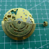 26.5mm China DANDONG 7120 Automatic Mechanical Watch Movement Hollow Golden