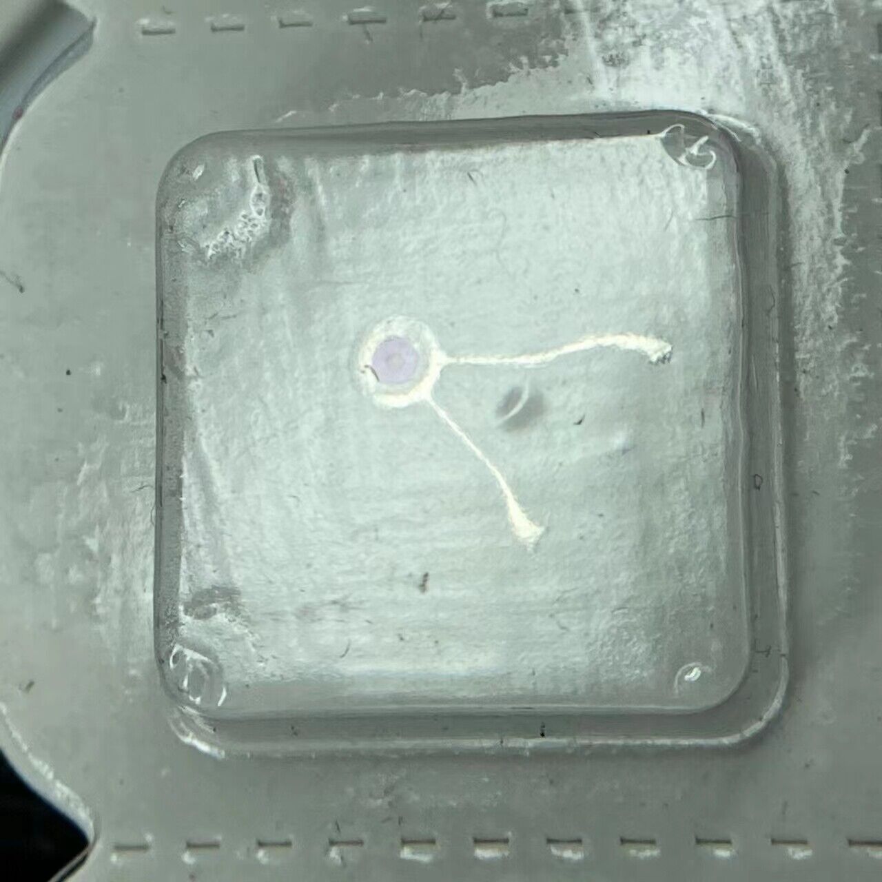 Automatic Fork for China Made Tianjin Seagull ST16 Movement Watch Repair Part