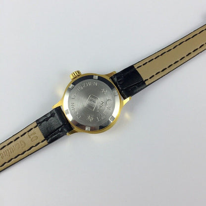 24mm HAIDA golden mechanical lady watch featuring 17 jewels and elegant oval nail-style case design.