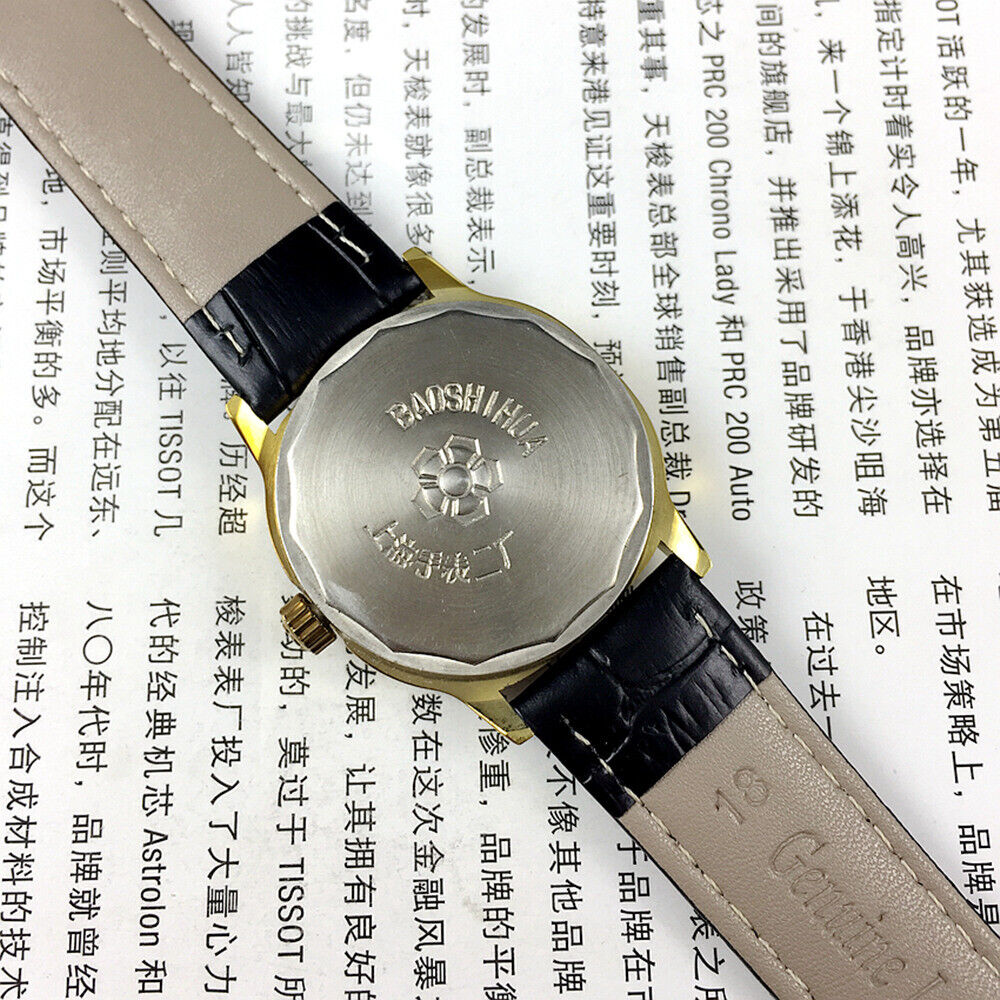 Shanghai 34mm manual mechanical watch with brown dial, square case, gold markers, 17 jewels, classic design.