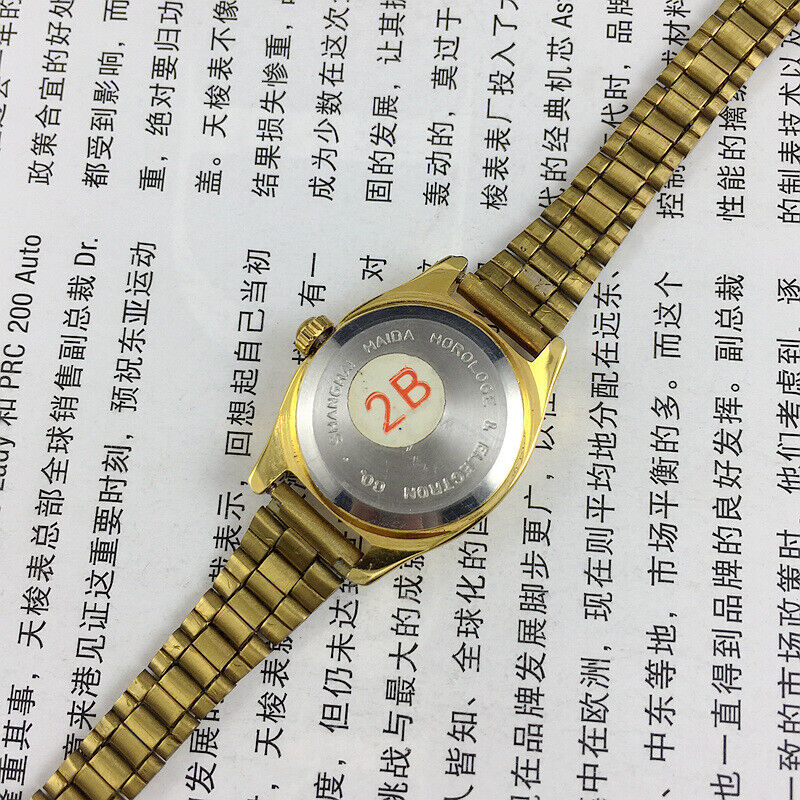 HAIDA lady watch with square case, golden nail markers, 17 jewels, and champagne dial for elegant style.