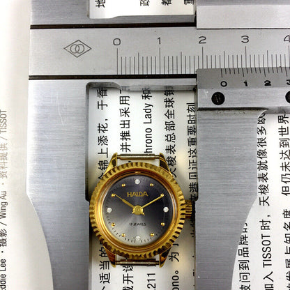 HAIDA 24mm mechanical lady watch with grey dial, golden nail markers, and 17 jewel movement in round case.