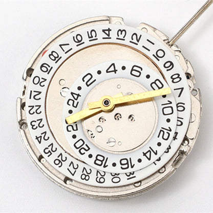 Dandong 24 Hours Display Date@3 Multifunctional Automatic Mechanical Movement