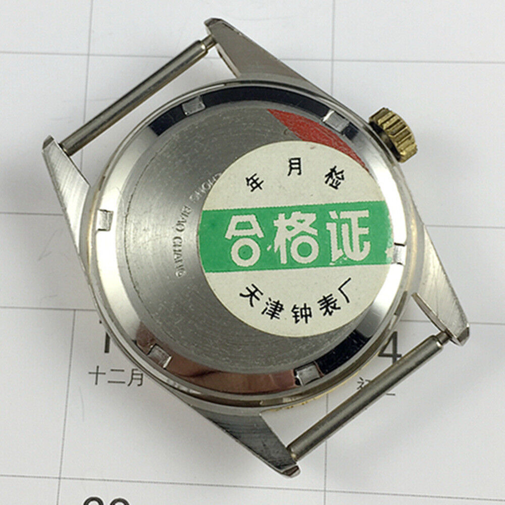 Zhufeng 36mm manual mechanical watch with golden case and nail indices for timeless elegance.