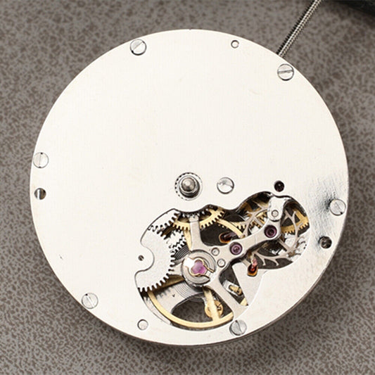 Mouvement mécanique automatique à balancier nu asiatique DANDONG Silver DL8207