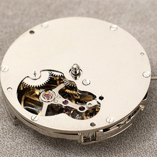 Mouvement mécanique automatique à balancier nu asiatique DANDONG Silver DL8207