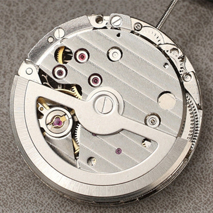 Asian DANDONG Silver DL8207 Bare Balance Wheel Automatic Mechanical Movement