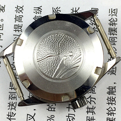 Seagull black case ladies watch with golden hands, shock-resistant manual mechanical movement, elegant design.