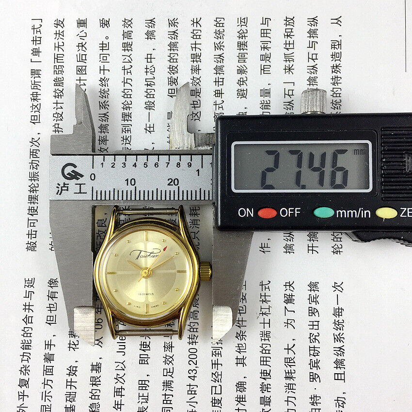 TAISHAN Lady mechanical watch with 19 jewels, champagne dial, golden case, and sophisticated design for women.