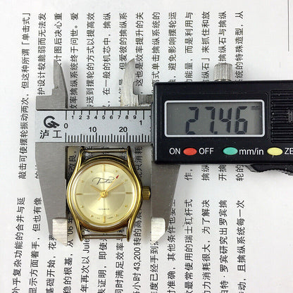 TAISHAN Lady mechanical watch with 19 jewels, champagne dial, golden case, and sophisticated design for women.