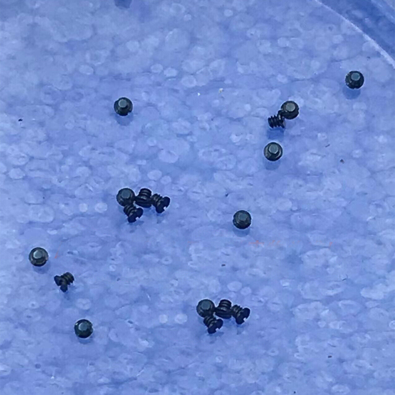 Small watch part screws for date disk calendar jumper, compatible with SA100 movement, generic brand.