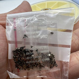 Stainless Steel Mini Watch Screws Assortment of 250pcs Screws