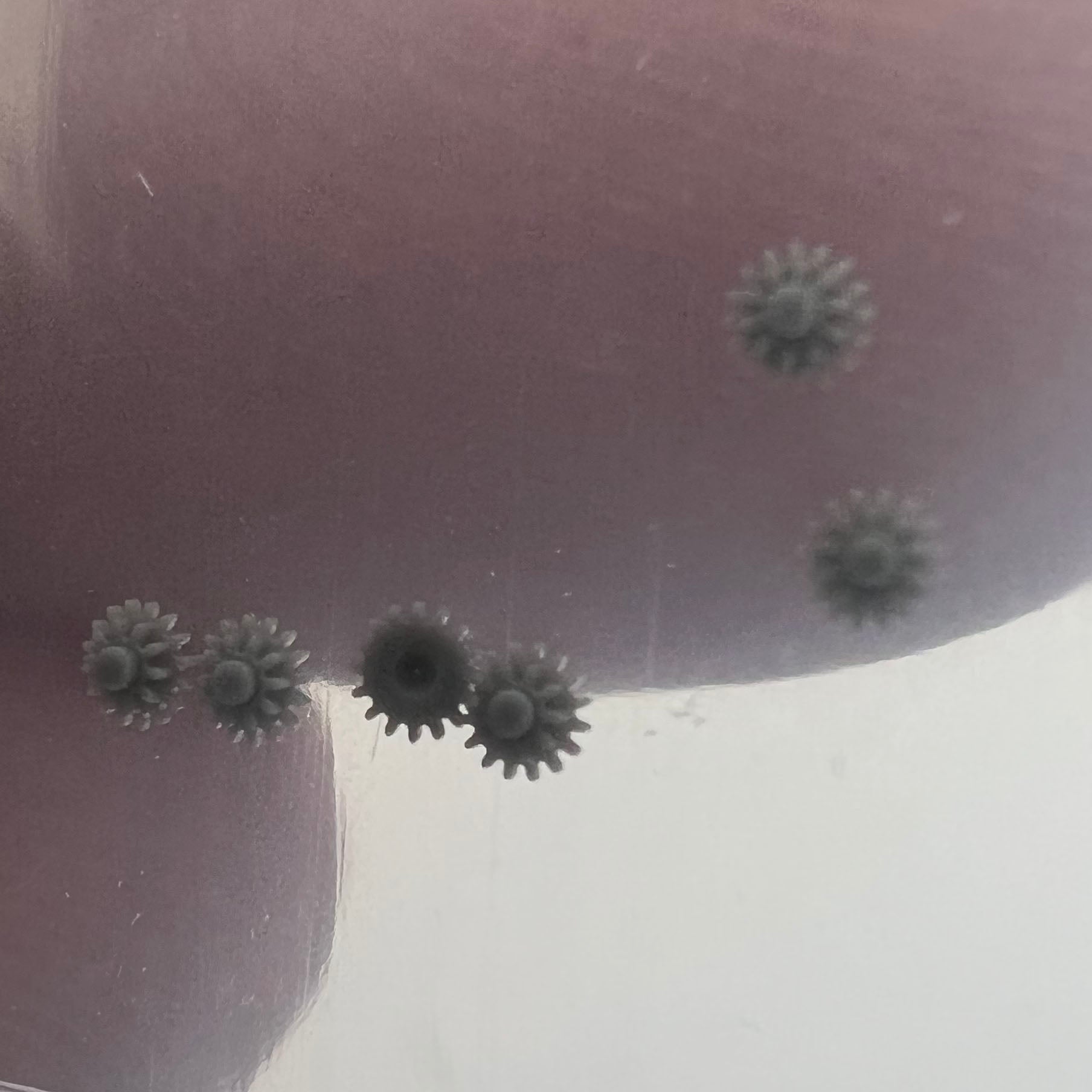 Intermediate date wheel spare part for NH05 NH06 movement, precise fit for seamless watch repairs.