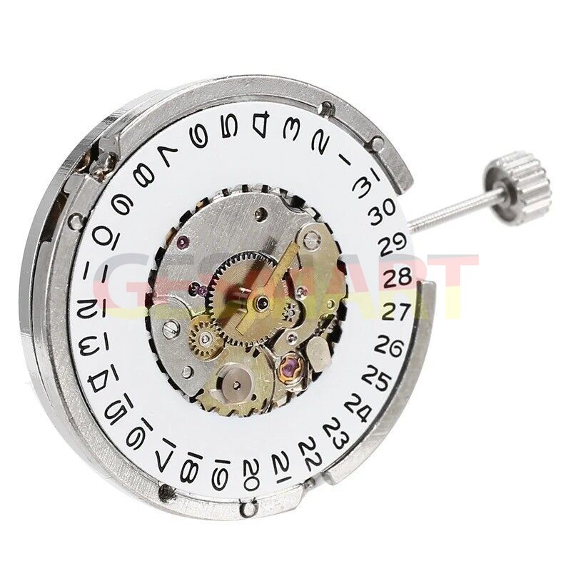 China Made Men Tianjin Seagull ST6 watch accessory showcasing automatic mechanical movement details.