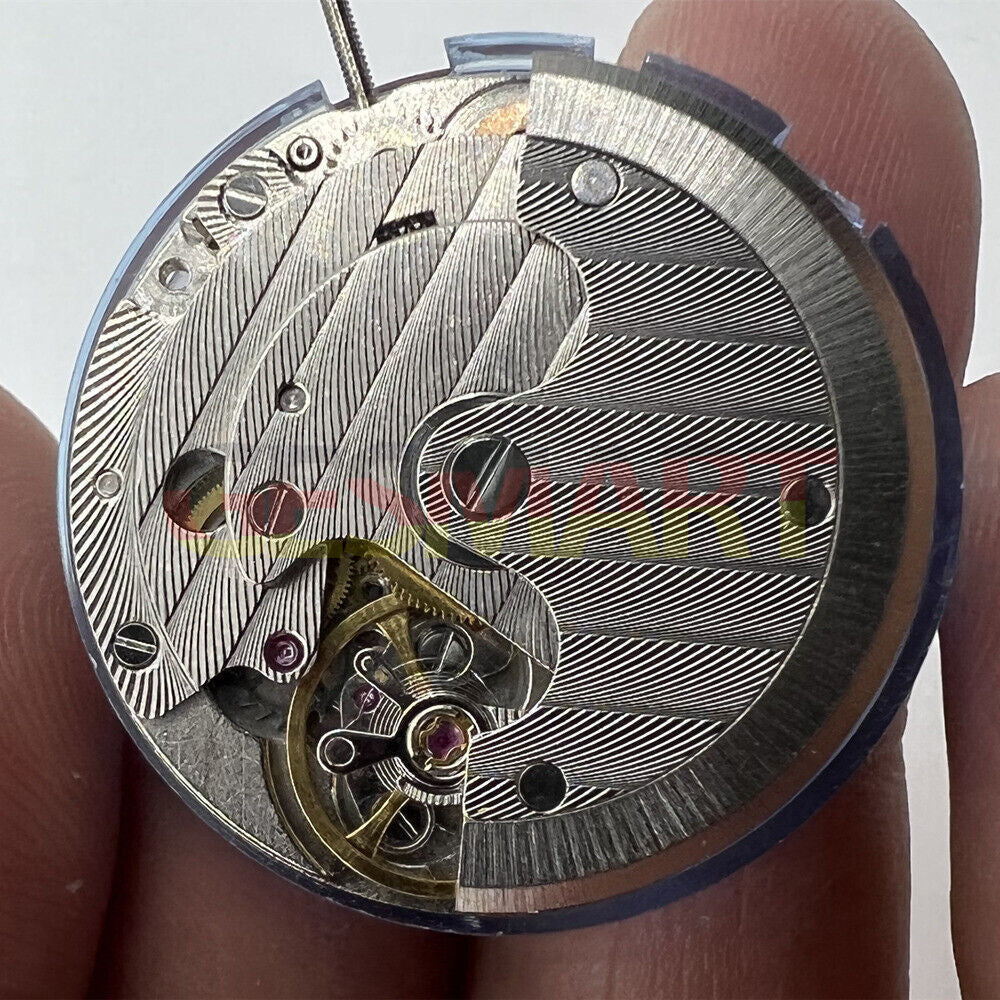 Asian Tianjin Seagull T17 watch with automatic mechanical movement and single calendar, sleek design by Tianjin Seagull.