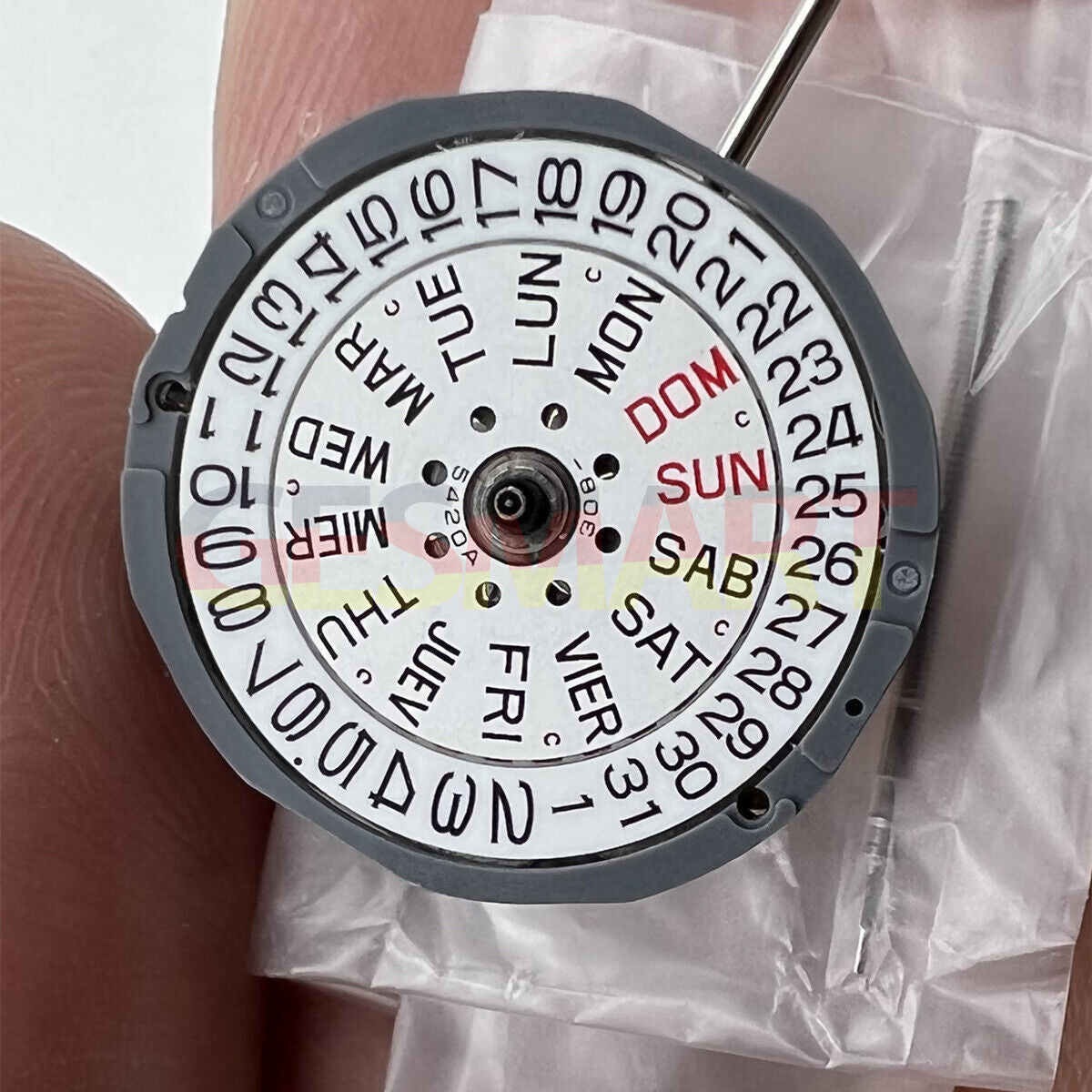 Miyota 1L02 Japan quartz movement watch accessory with English dial, precision timekeeping component.