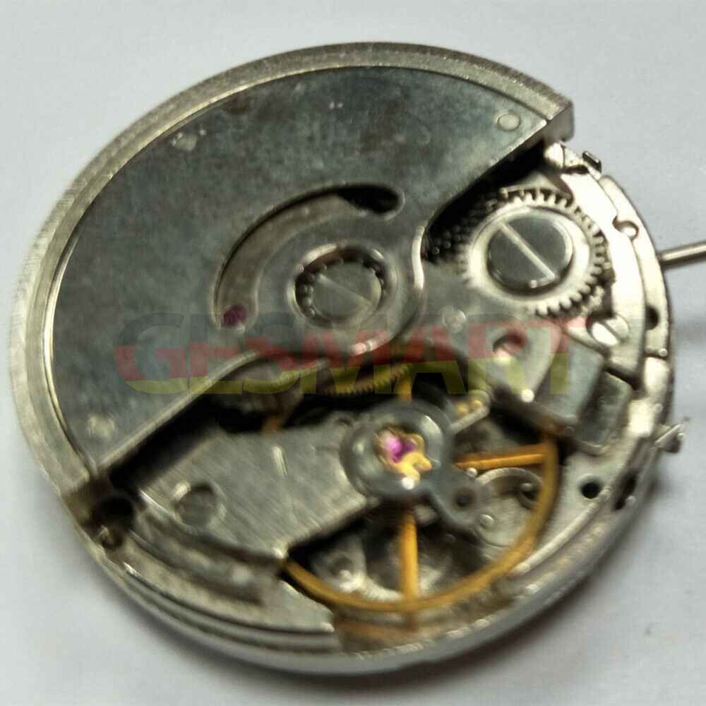 Shanghai RK5D watch accessory revealing intricate automatic mechanical movement and expert craftsmanship.