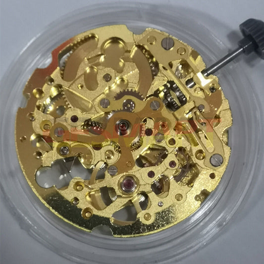 Japan Made Miyota 8N24 golden automatic watch with skeleton dial showcasing mechanical movement.