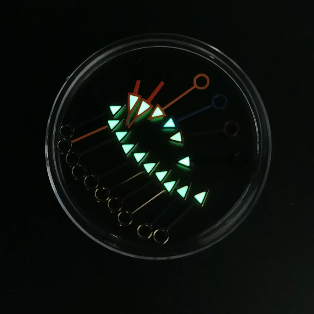 Luminous GMT Second Hand of Watch for NH34A Movement for Mechanical Watch for Men Knitting Needles Mechanical Hands