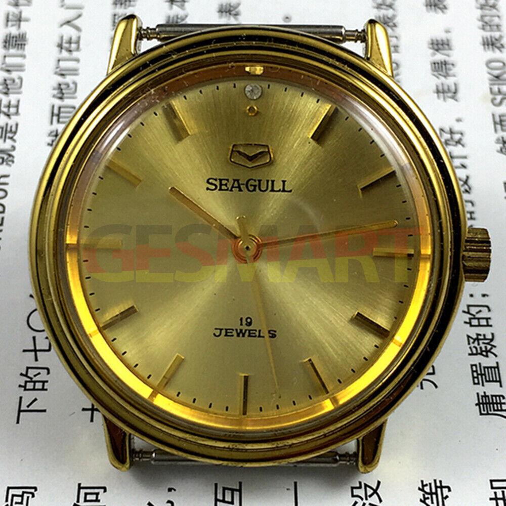 35mm golden case Tianjin Seagull watch with round dial, manual mechanical movement, classic design.