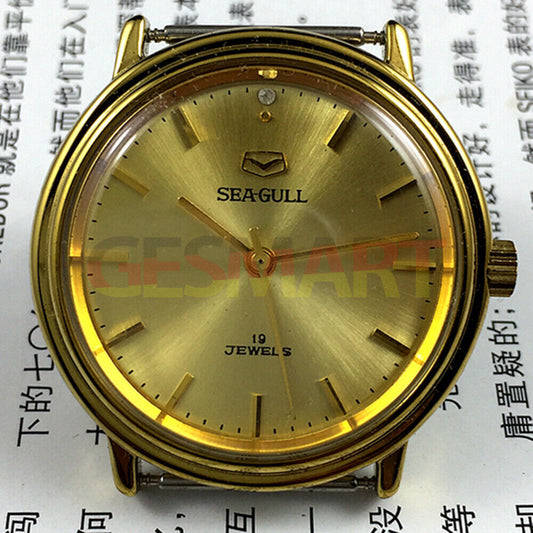 35mm golden case Tianjin Seagull watch with round dial, manual mechanical movement, classic design.