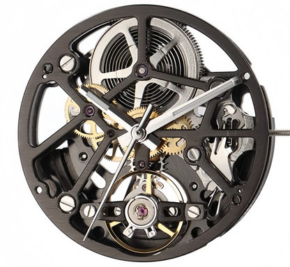 Hangzhou Round Black 1A09D watch with carved hollow dial, automatic mechanical movement, 3-hand display by Hangzhou.