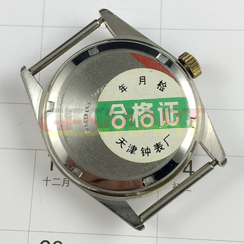 Zhufeng 36mm manual mechanical watch with golden case, nail hour markers, and sleek two-hand design