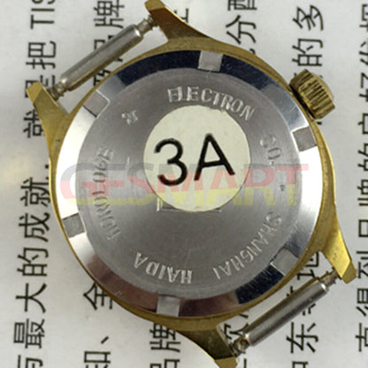 HAIDA 24mm Lady Watch with mechanical movement, diamond-style markers, red gradient dial for elegant wear