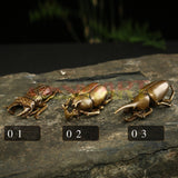 Solid Copper Beetle Simulation Insect Trinket Hand Carved Bronze Model Figurines