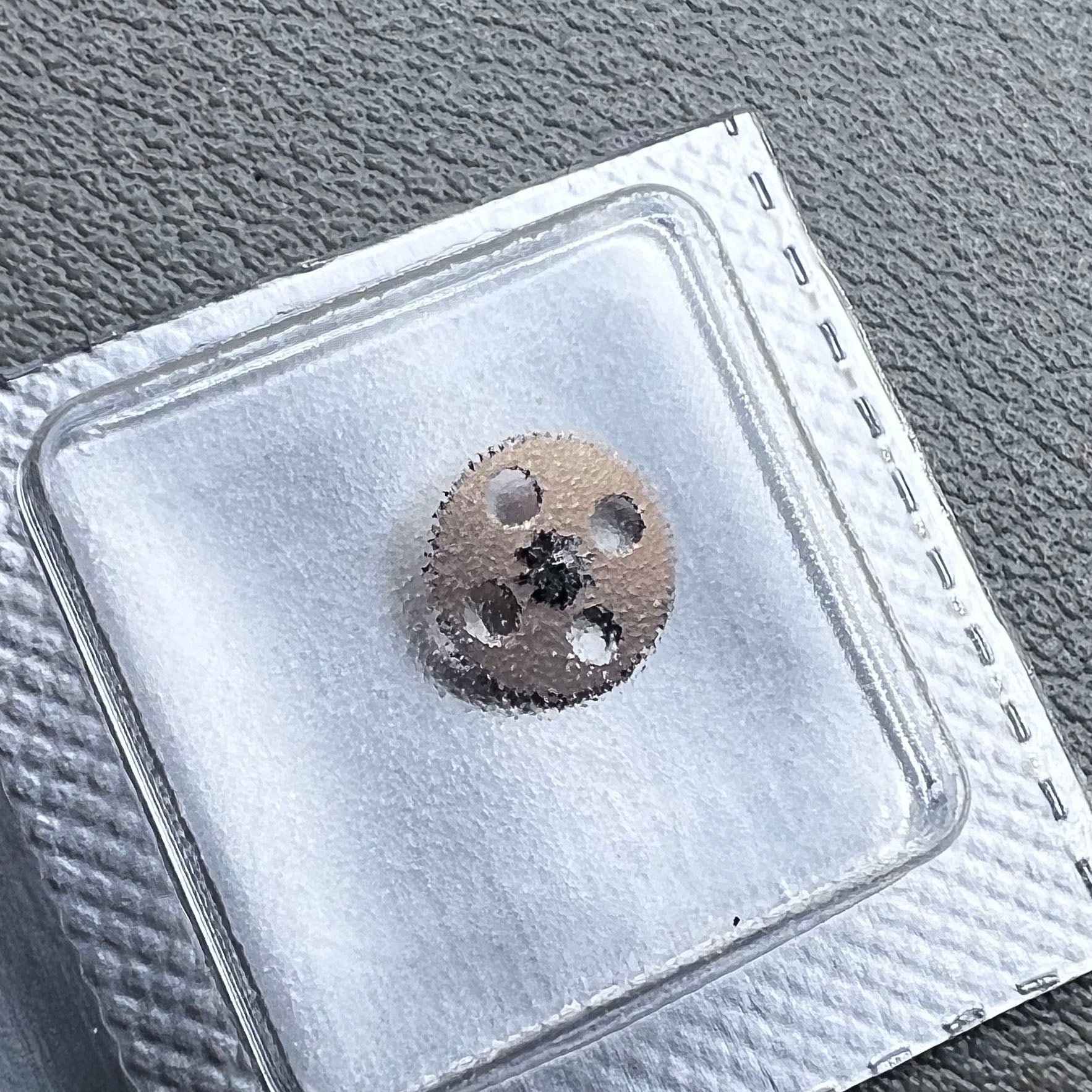 Ratchet wheel for ETA SW500 watch movement, durable gear component for precise timekeeping.