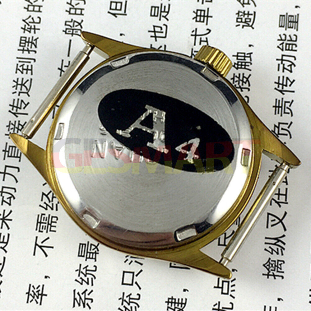 TAISHAN manual mechanical lady watch with 19 jewels, champagne dial, golden case, showcasing elegant and classic style.