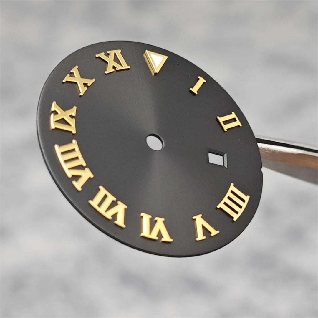 24.5MM Watch Dial Arabic Scale Surface BGW9 Luminous for NH05/NH06 for 31mm Case