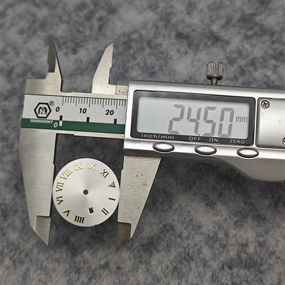 24.5MM Watch Dial Arabic Scale Surface BGW9 Luminous for NH05/NH06 for 31mm Case