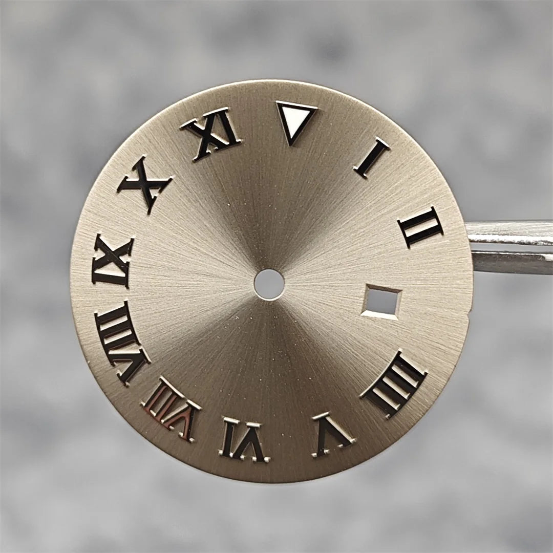 24.5MM Watch Dial Arabic Scale Surface BGW9 Luminous for NH05/NH06 for 31mm Case