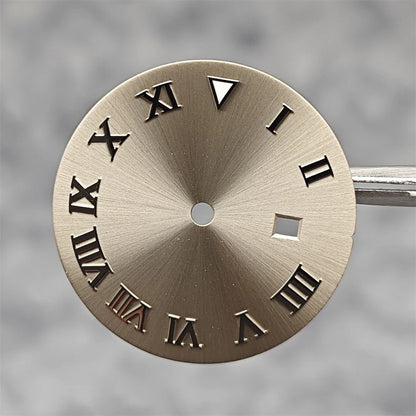 24.5MM Watch Dial Arabic Scale Surface BGW9 Luminous for NH05/NH06 for 31mm Case