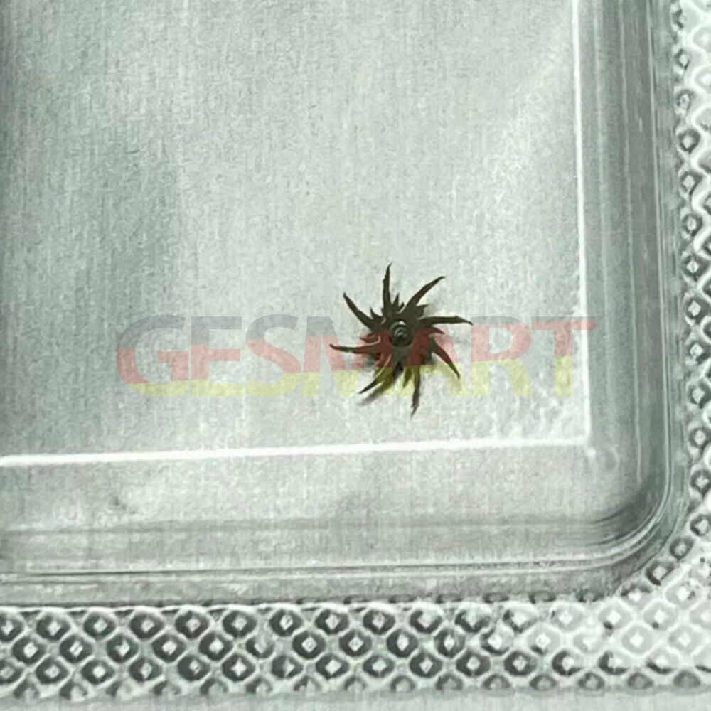 Swiss Made Escape Wheel for Omega 9900A 2500D, precision watch repair component.