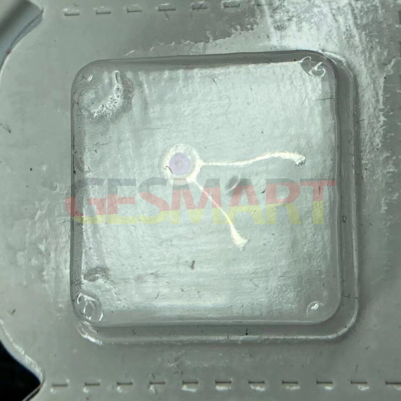 Automatic fork component for Tianjin Seagull ST16 watch movement, precision repair part, high-quality fit.