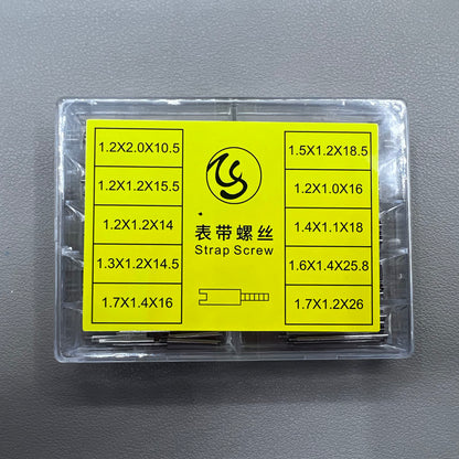 10 Sizes 100 PIECES 304 Stainless Steel Watch Strap Screw