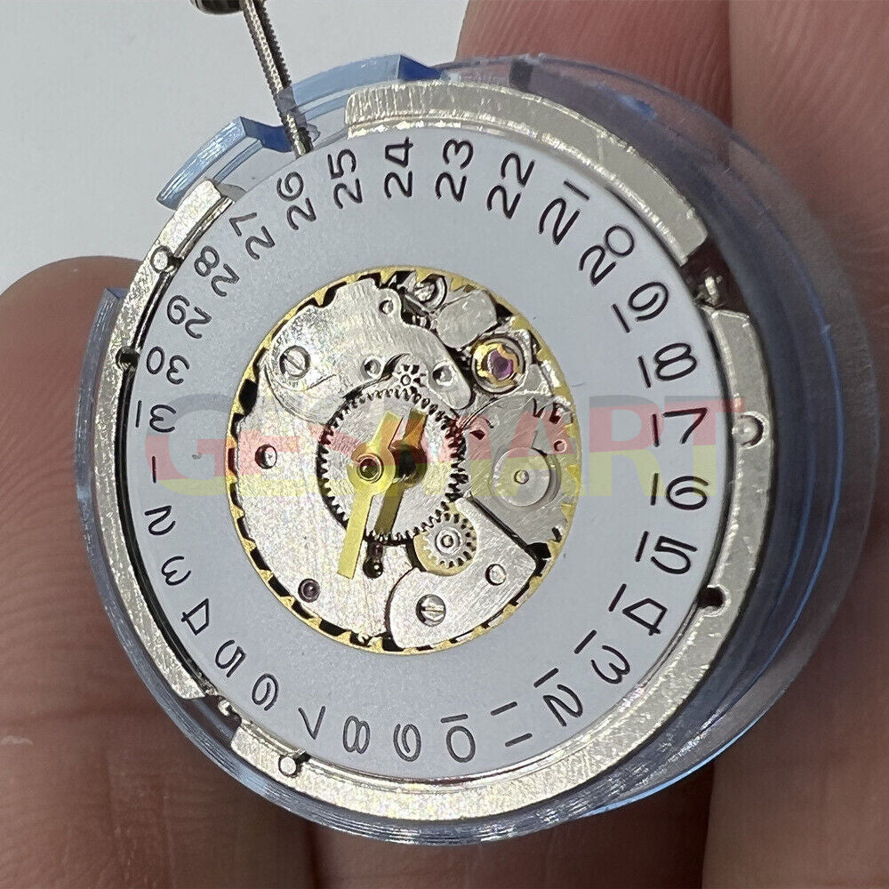Tianjin Seagull ST6 automatic watch movement showcasing precise mechanical craftsmanship for men's timepieces.